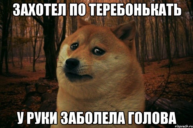 захотел по теребонькать у руки заболела голова, Мем SAD DOGE