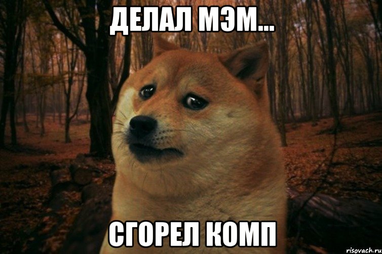 делал мэм... сгорел комп, Мем SAD DOGE