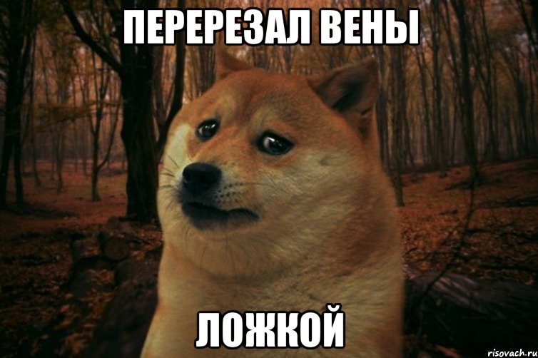 ПЕРЕРЕЗАЛ ВЕНЫ ЛОЖКОЙ, Мем SAD DOGE