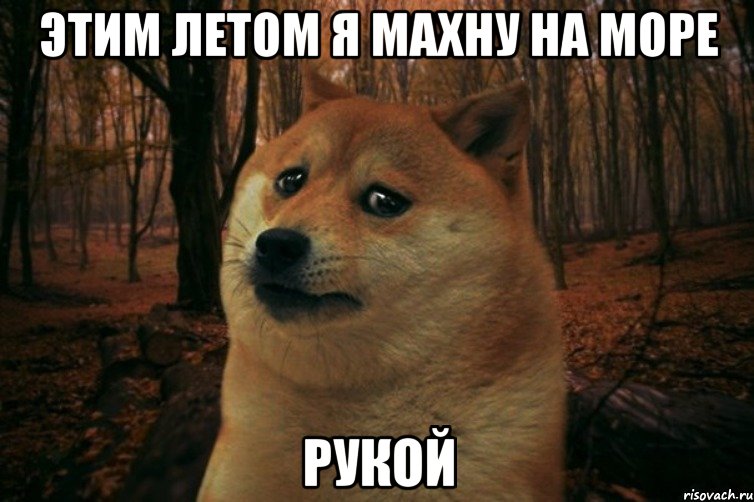 этим летом я махну на море рукой, Мем SAD DOGE