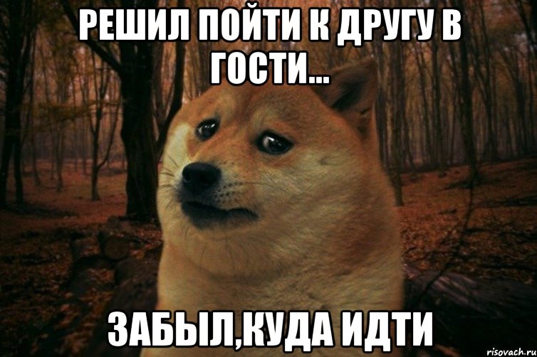 Решил пойти к другу в гости... забыл,куда идти, Мем SAD DOGE