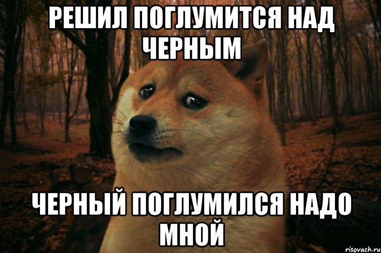 Решил поглумится над черным Черный поглумился надо мной, Мем SAD DOGE