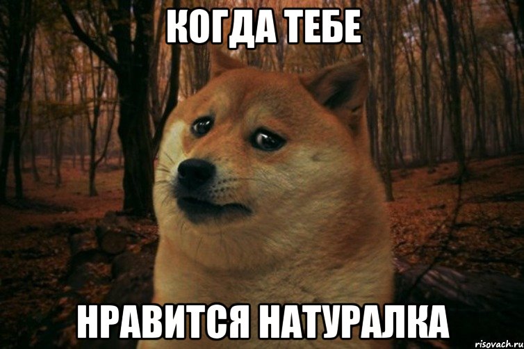 когда тебе нравится натуралка, Мем SAD DOGE