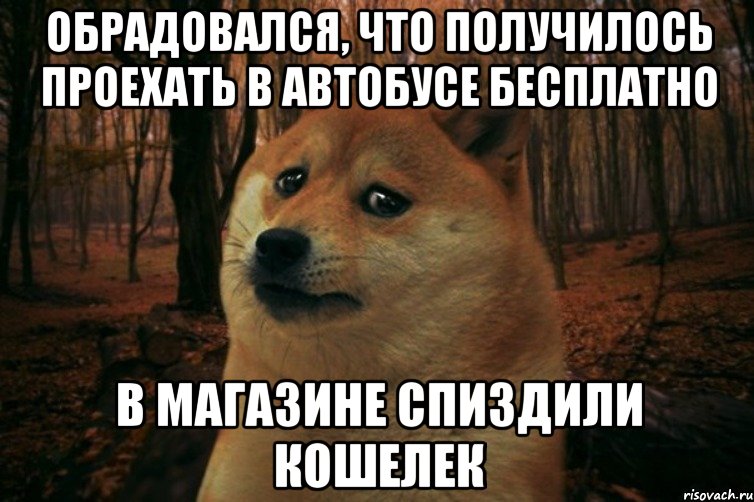 Обрадовался, что получилось проехать в автобусе бесплатно в магазине спиздили кошелек, Мем SAD DOGE