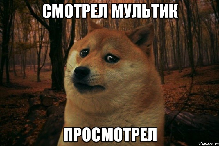 Смотрел мультик Просмотрел, Мем SAD DOGE