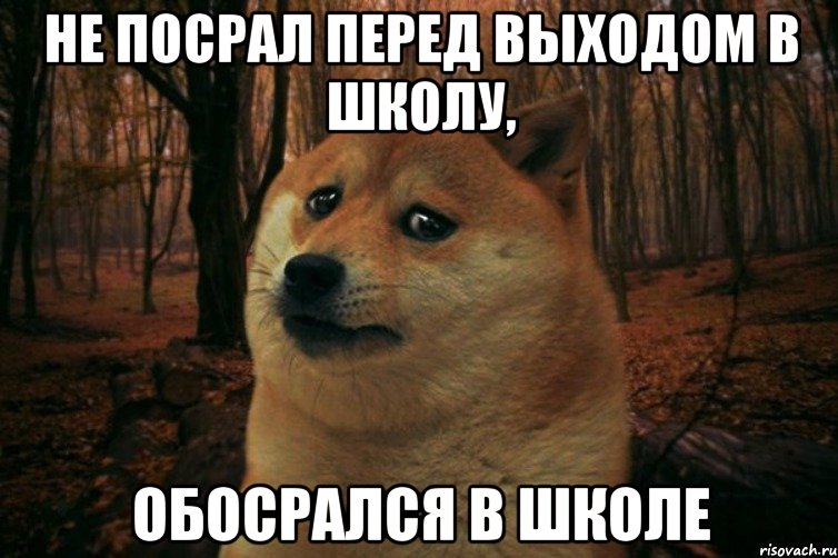 Не посрал перед выходом в школу, обосрался в школе