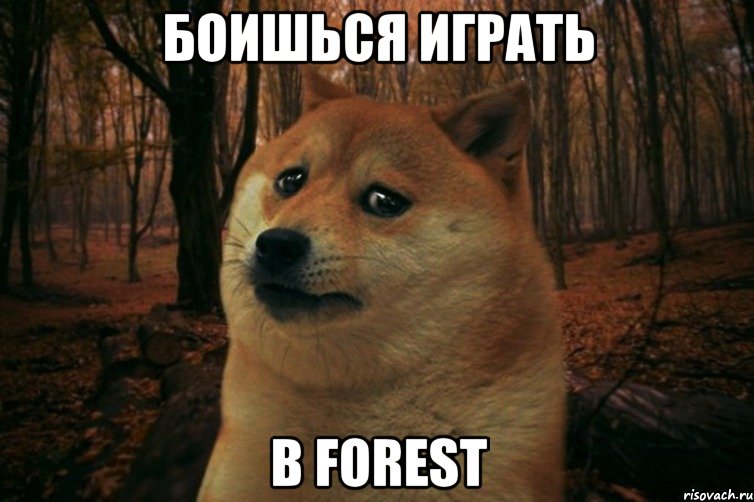 Боишься играть в Forest, Мем SAD DOGE