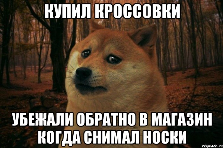 Купил кроссовки Убежали обратно в магазин когда снимал носки, Мем SAD DOGE