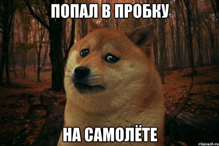 попал в пробку на самолёте, Мем SAD DOGE