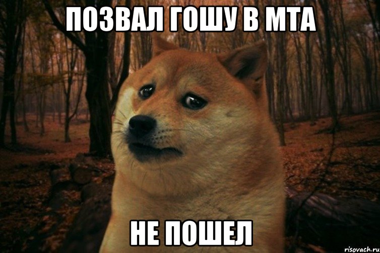 Позвал Гошу В МТА Не ПОШЕЛ, Мем SAD DOGE