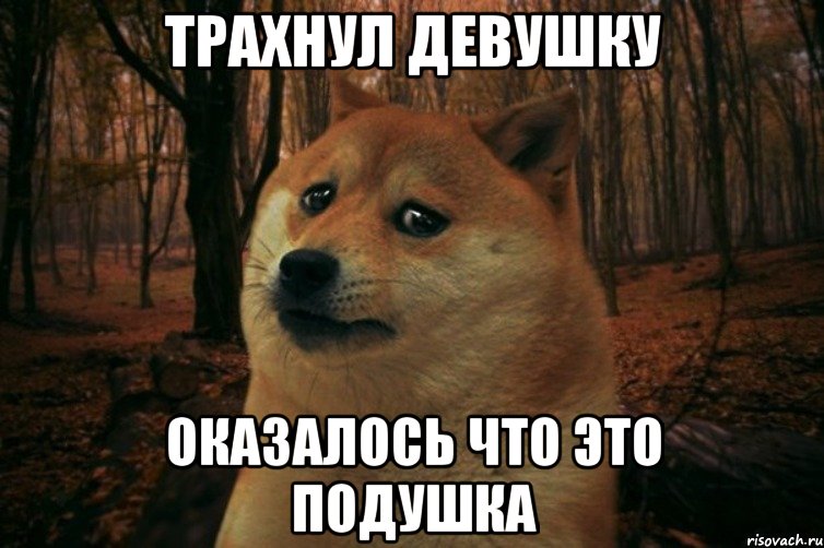 Трахнул девушку оказалось что это подушка, Мем SAD DOGE