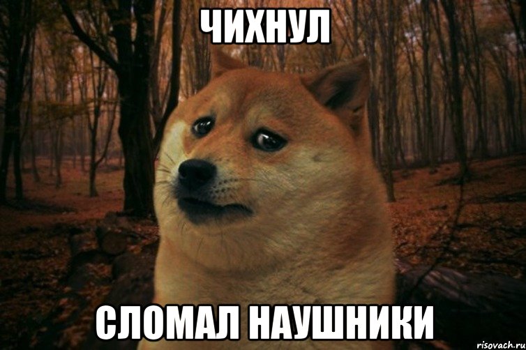 ЧИХНУЛ СЛОМАЛ НАУШНИКИ, Мем SAD DOGE