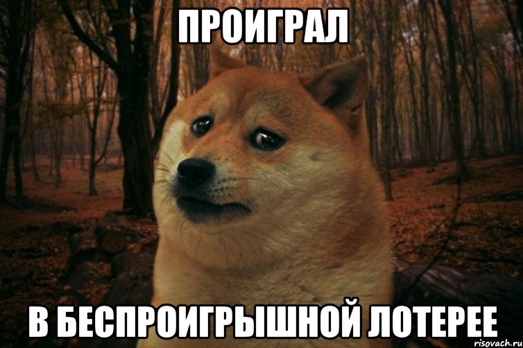 проиграл в беспроигрышной лотерее, Мем SAD DOGE