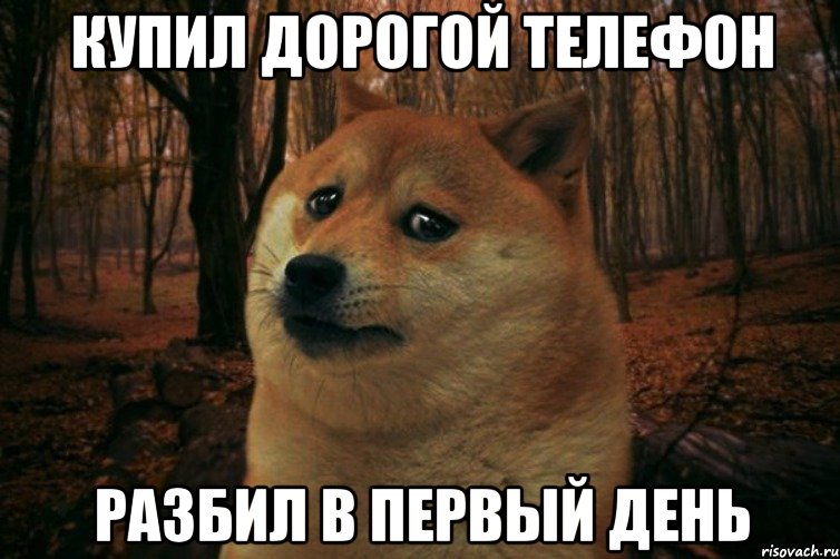 Купил дорогой телефон разбил в первый день, Мем SAD DOGE