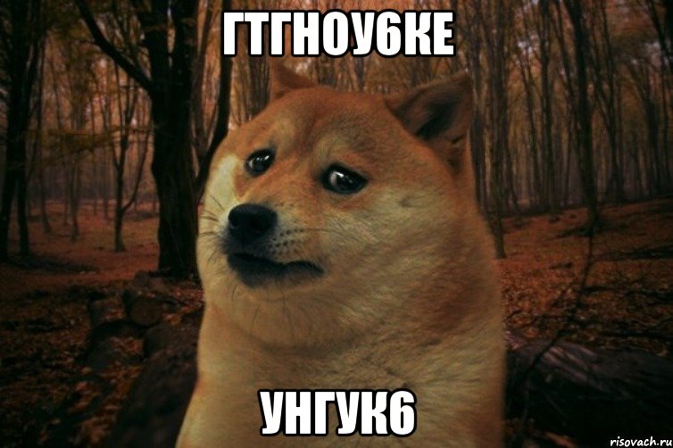 гтгноу6ке унгук6, Мем SAD DOGE