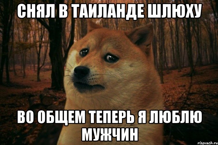 Cнял в Таиланде шлюху Во общем теперь я люблю мужчин, Мем SAD DOGE