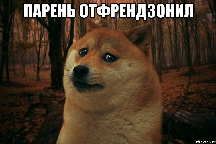 Парень отфрендзонил , Мем SAD DOGE