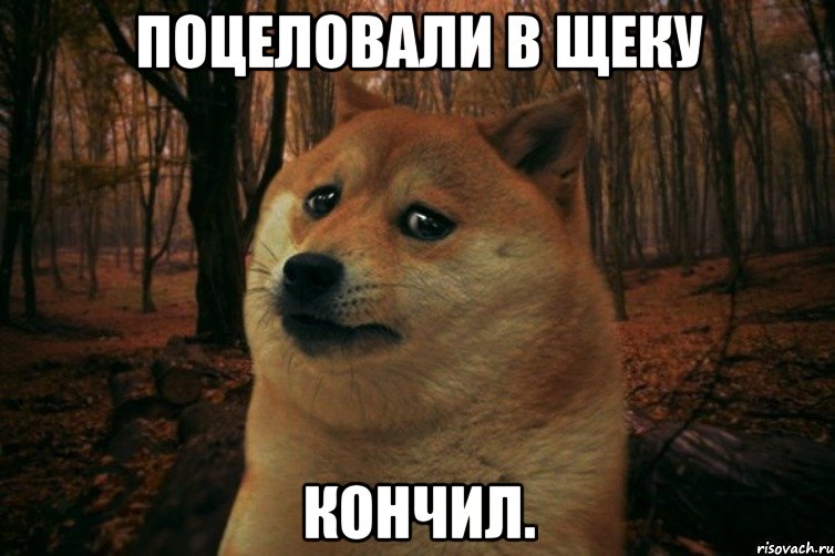 Поцеловали в щеку Кончил., Мем SAD DOGE