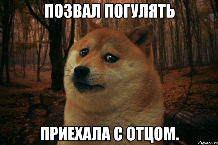 ПОЗВАЛ ПОГУЛЯТЬ ПРИЕХАЛА С ОТЦОМ., Мем SAD DOGE