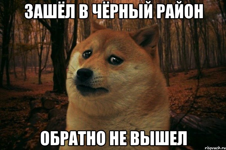 ЗАШЁЛ В ЧЁРНЫЙ РАЙОН ОБРАТНО НЕ ВЫШЕЛ, Мем SAD DOGE