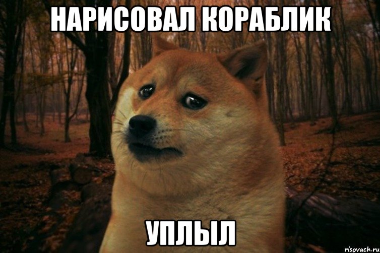 Нарисовал кораблик Уплыл, Мем SAD DOGE