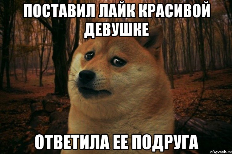 Поставил лайк красивой девушке Ответила ее подруга, Мем SAD DOGE