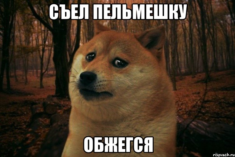 Съел пельмешку Обжегся, Мем SAD DOGE