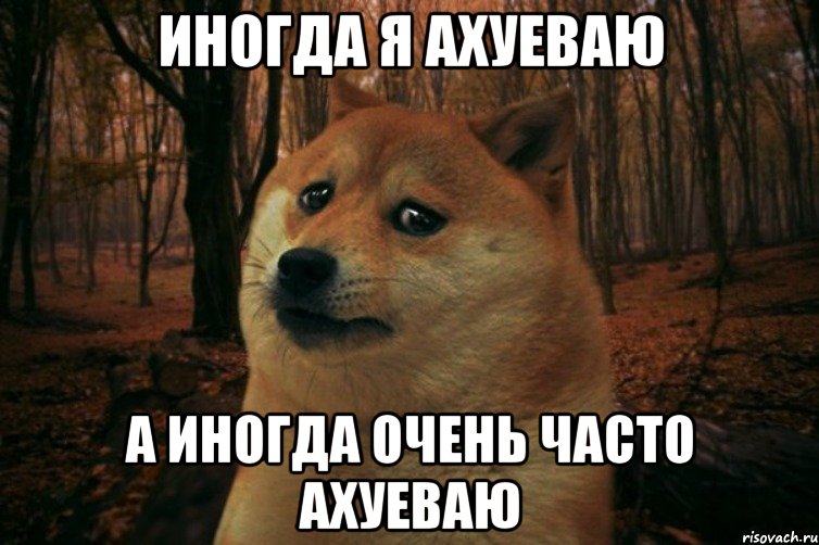 иногда я ахуеваю а иногда очень часто ахуеваю, Мем SAD DOGE