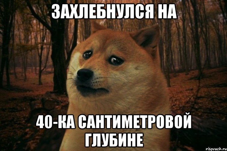 Захлебнулся на 40-ка сантиметровой глубине, Мем SAD DOGE