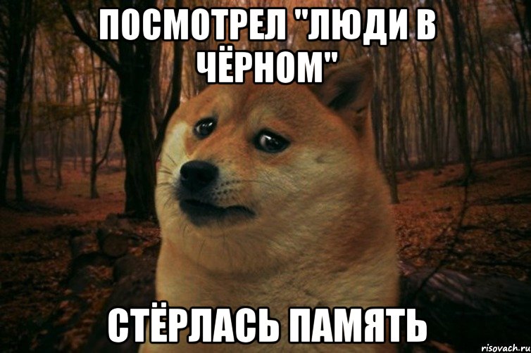 Посмотрел "Люди в чёрном" Стёрлась память, Мем SAD DOGE