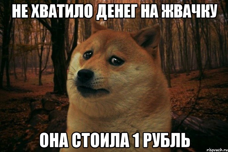 Не хватило денег на жвачку Она стоила 1 рубль, Мем SAD DOGE