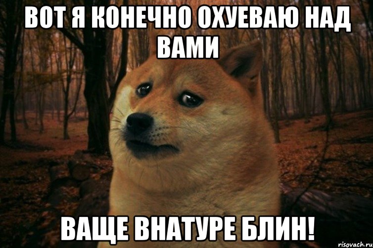 Вот я конечно охуеваю над вами ваще внатуре блин!, Мем SAD DOGE