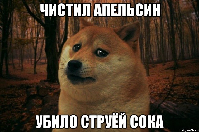 чистил апельсин убило струёй сока, Мем SAD DOGE