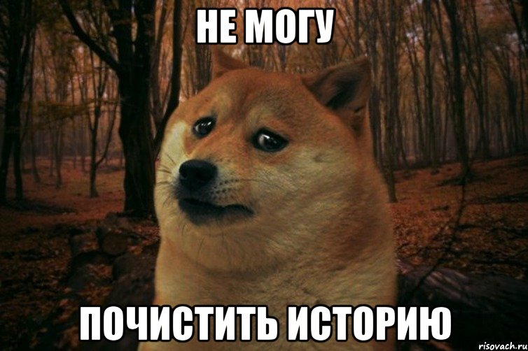 Не могу почистить историю, Мем SAD DOGE