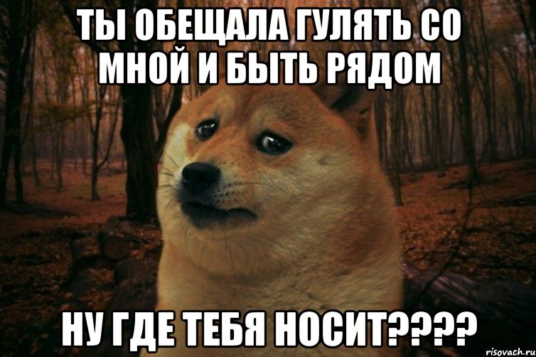 ты обещала гулять со мной и быть рядом ну где тебя носит????, Мем SAD DOGE