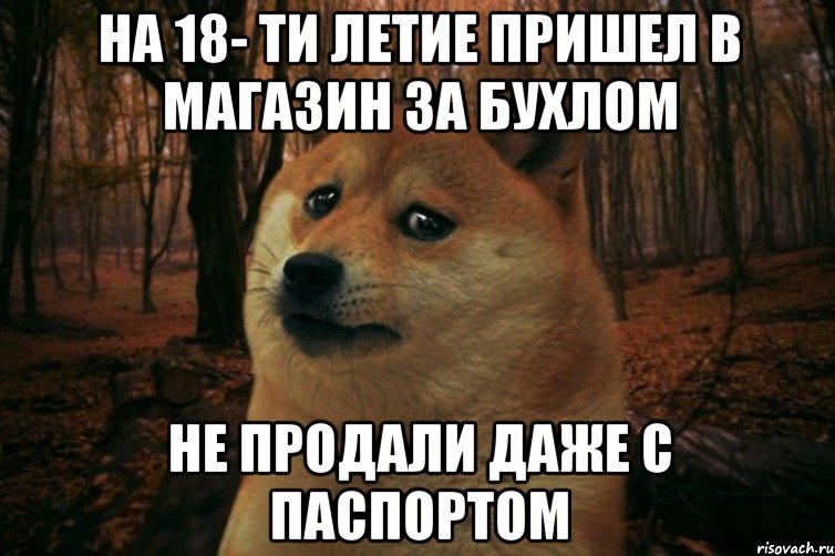 на 18- ти летие пришел в магазин за бухлом не продали даже с паспортом, Мем SAD DOGE