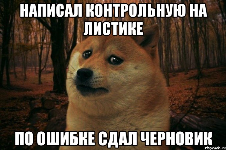 написал контрольную на листике по ошибке сдал черновик, Мем SAD DOGE