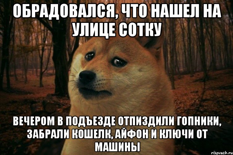 обрадовался, что нашел на улице сотку вечером в подъезде отпиздили гопники, забрали кошелк, айфон и ключи от машины, Мем SAD DOGE