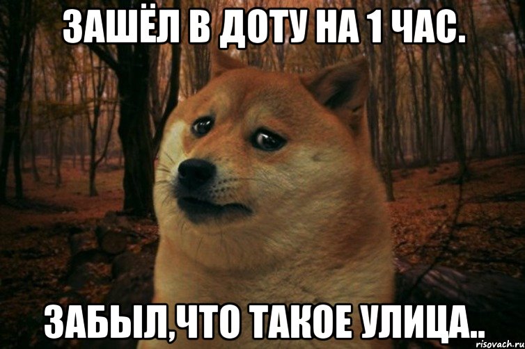 Зашёл в Доту на 1 час. Забыл,что такое улица.., Мем SAD DOGE