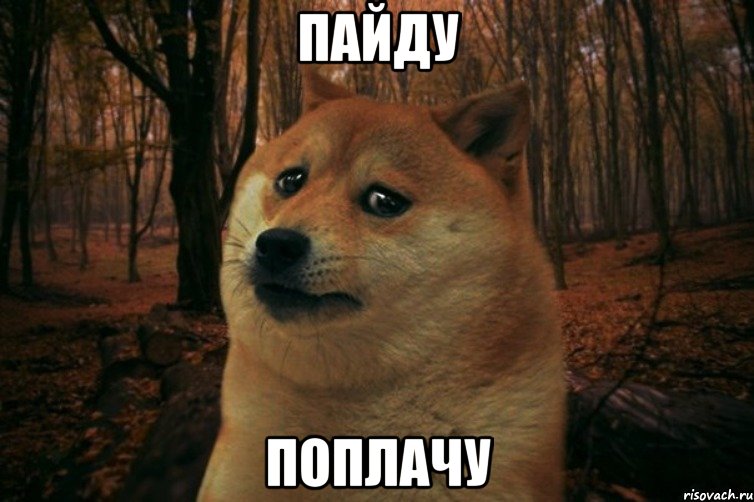 ПАЙДУ ПОПЛАЧУ, Мем SAD DOGE