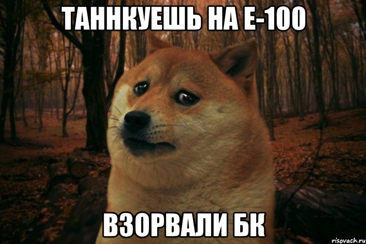 Таннкуешь на Е-100 Взорвали БК, Мем SAD DOGE