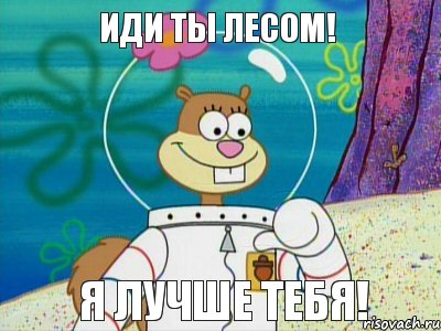 Иди ты лесом! я лучше тебя!