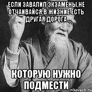 Если завалил экзамены,не отчаивайся,в жизние есть другая дорога которую нужно подмести, Мем Монах-мудрец (сэнсей)