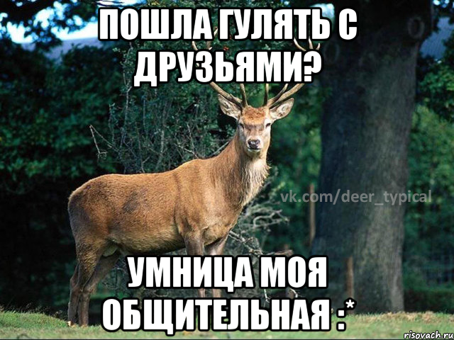 Пошла гулять с друзьями? Умница моя общительная :*
