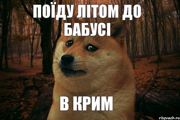 ПОЇДУ ЛІТОМ ДО БАБУСІ В КРИМ , Мем SAD DOGE