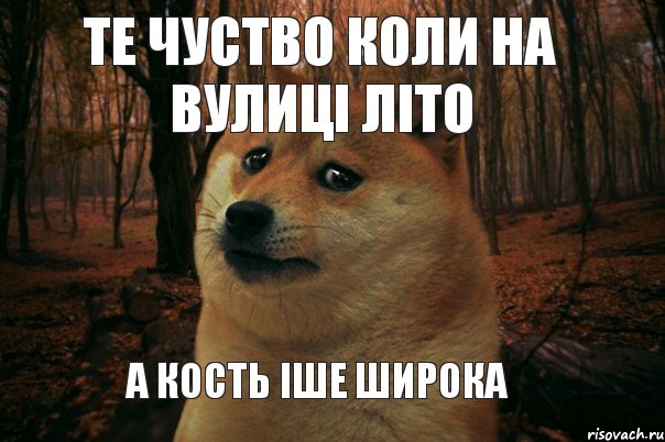 те чуство коли на вулиці літо а кость іше широка , Мем SAD DOGE