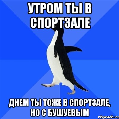 Утром ты в спортзале Днем ты тоже в спортзале, но с Бушуевым, Мем  Социально-неуклюжий пингвин