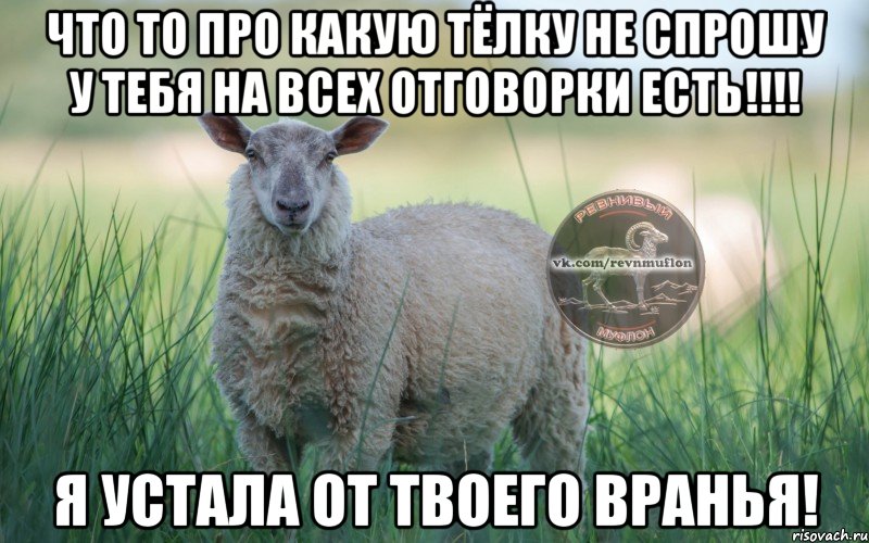 Что то про какую тёлку не спрошу у тебя на всех отговорки есть!!!! я устала от твоего вранья!, Мем  Создать мем Ревнивая Овечка 1