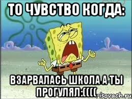 То чувство когда: Взарвалась школа а ты прогулял:((((, Мем Спанч Боб плачет