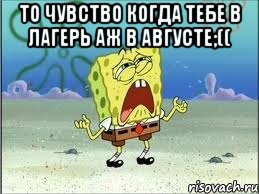 То чувство когда тебе в лагерь аж в августе;(( , Мем Спанч Боб плачет